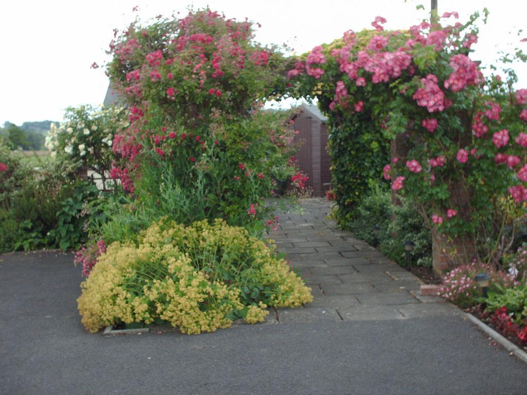 The Lilacs Ashbourne  Bagian luar foto